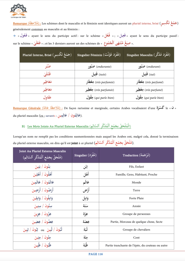 Manuel de GRAMMAIRE / CONJUGAISON TOME 4 – Image 10