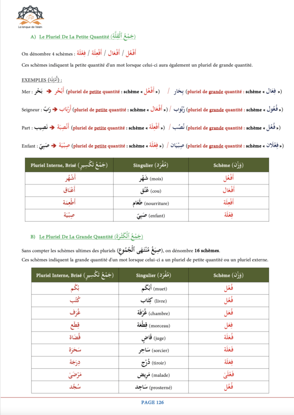 Manuel de GRAMMAIRE / CONJUGAISON TOME 4 – Image 11